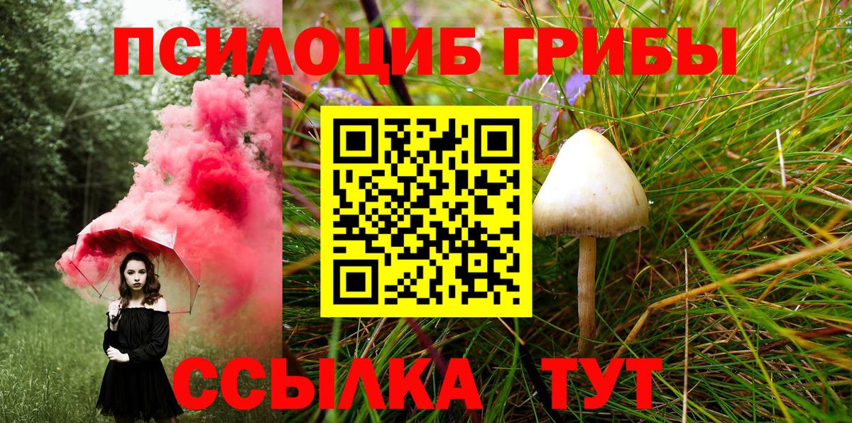 Псилоцибиновые грибы Cubensis Кириши
