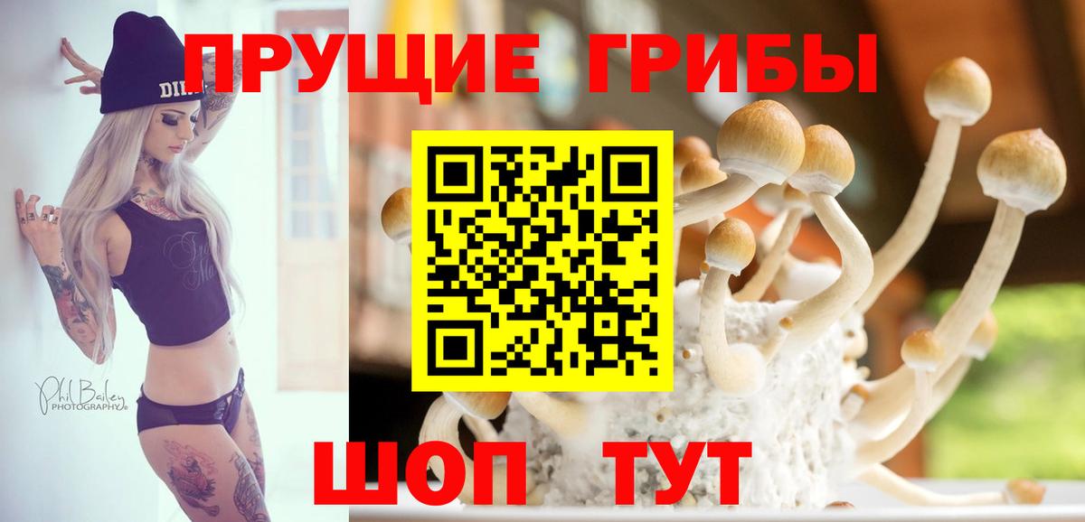 Галлюциногенные грибы ЛСД  Вход с VPN  Галлюциногенные грибы прущие грибы  Кириши 